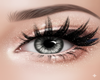 Dramatic Dolly Eyes HD