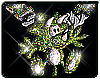 SEEIN' GREEN