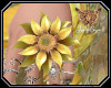 [ang]Sunflower Hand