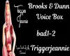 Brooks & Dunn Voice Box