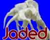 JD Rattlesnake Skeleton