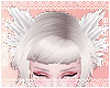 Hair Feathers