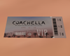 coachella pass vip