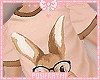 e Kids Bunny Shirt