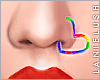 LL* Nose Heart Rainbow