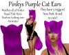 Pinkys Purple Cat Ears