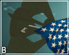 Bomb Patriotic Poses