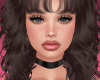 Zephyr Mocha/Bangs