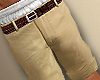 h. Linen Shorts v2