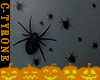 Spiders on Wall