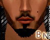 [BN]Black.beard.1