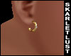 SL Cute Earrings