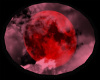Light Moon Red Rug