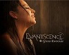 Evanescence ge13-18