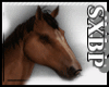 🍏 Horse -Caballo