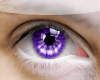 [IB]Lavender Eye