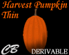 CB Thin Harvest Pumpkin