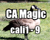 Goose California Magic 1
