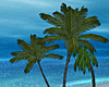 South Pacific Palm Trees