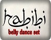belly dance set HABIBI