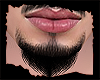 Z! Goatee Black I
