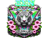 XSN X letter