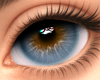 Lunar Gray Eyes