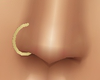 *TJ* Plain NoseRing R G