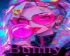 bunny 3
