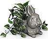 Bunny Plant [Grey]