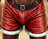 𝖛. Santa Boxers