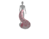Zahara tail v2