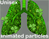inside irish lungs ANI