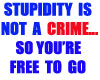 STUPIDITY IS NOT A CRIME