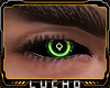 ! 蝠 Bionic Eyes 爪 07