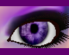 Deep Purple Eyes (F)