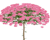 Rose Tree