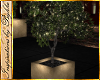 I~Patio Lighted Tree