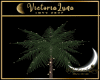 Palm Lamp/Palmera