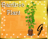 G- Tall Bamboo Plant