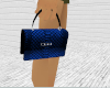 BLEU SKN BAG