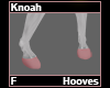 Knoah Hooves F