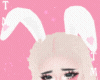 e Bunny Ears | White ~