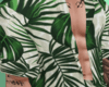 P.Tropical Blouse Plants