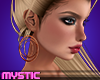 Rose Gold Hoop Earrings