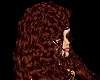 SC Long curly dark red