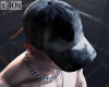Cap Trap