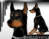 [B] Diablo w/Animation