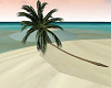 Tropical Palm Tree v2