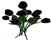 Black Tulips No Vase